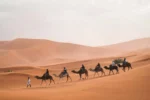 Egipto Milenario con Abu Simbel