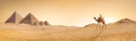 Travel Vacations - Banner - Egipto