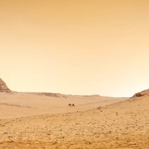 Travel Vacations - Banner - Egipto