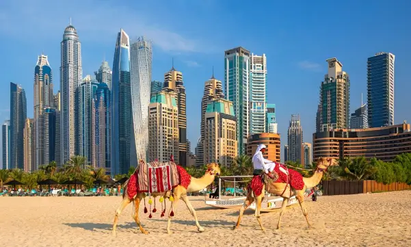Travel Vacations - Emirator Árabes Unidos - Dubai - 1