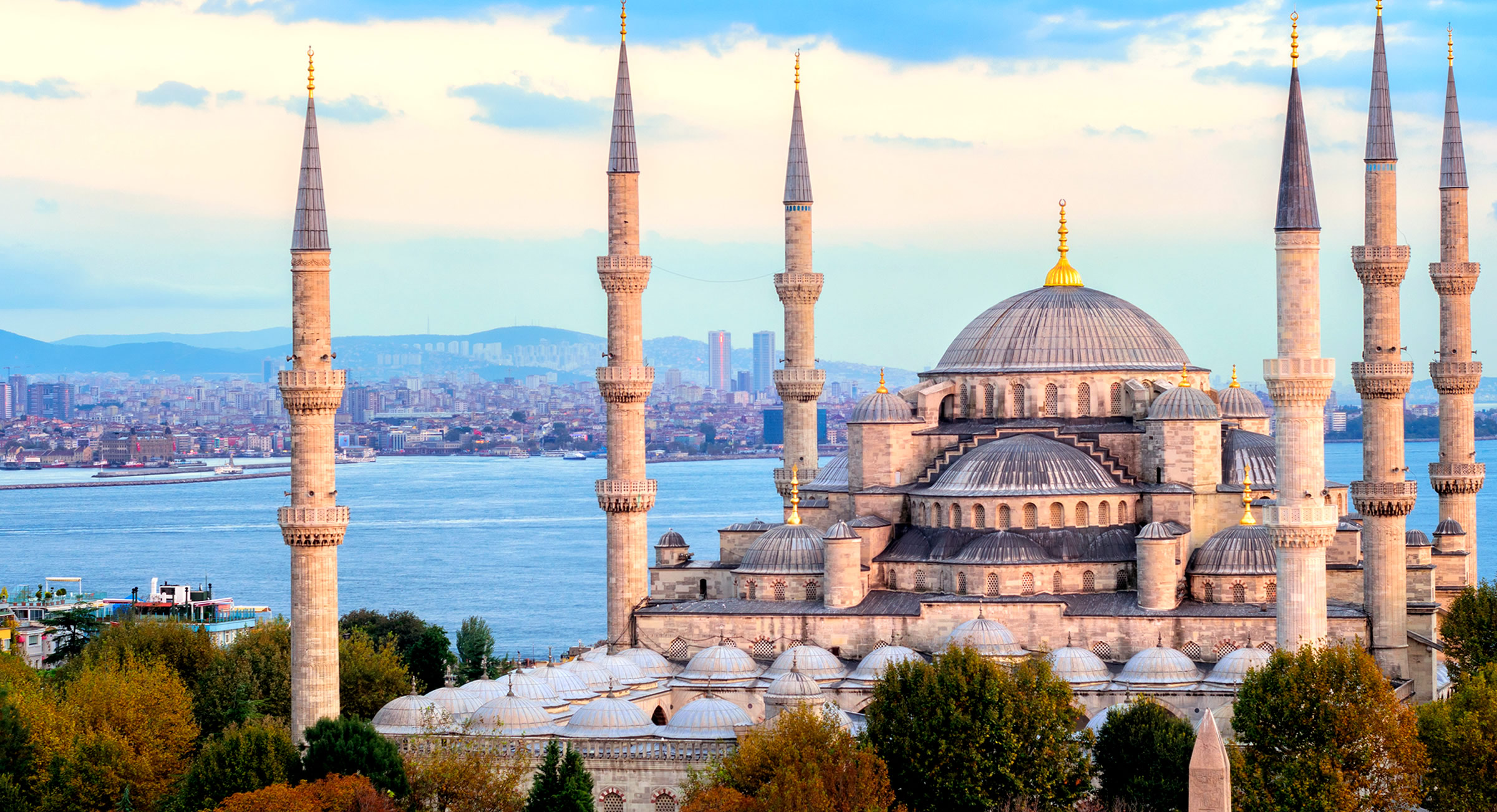 1 Turquía de oferta - Imagen 1