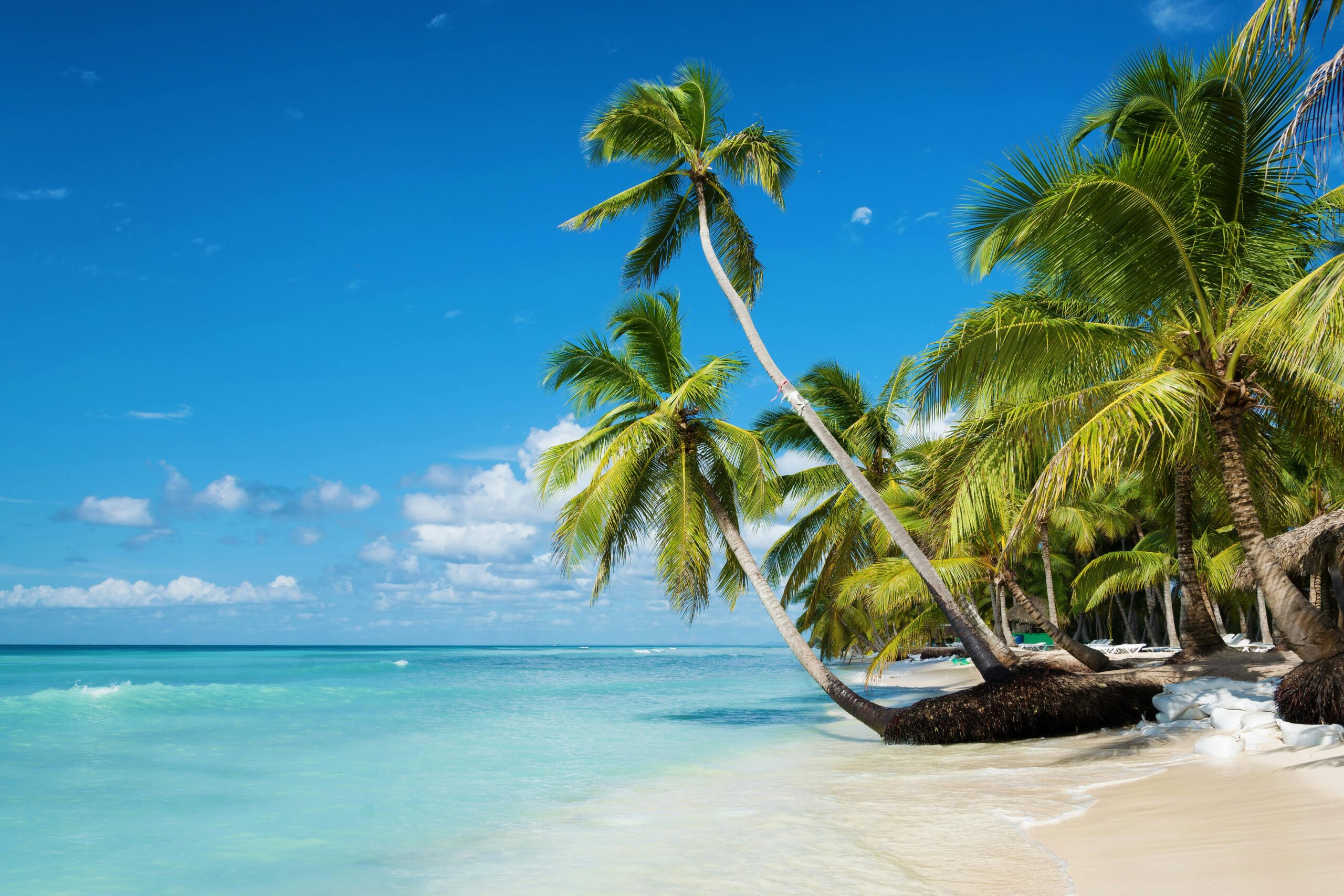 qqq Lujo, sol y playa Punta Cana - Imagen 1