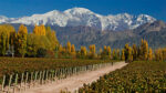 Paisajes y Sabores de Argentina - Imagen 8